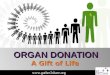Organ Donation - A Gift of Life