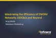Maximizing the efficiency of dwdm networks 100 gbs and beyond