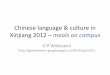 Chinese language & culture in xinjiang 2012 –food