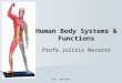 Human body systems & functions