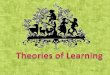 Theories of learning
