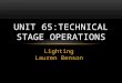 Lighting unit 65