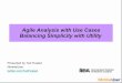 Agile Analysis with Use Cases: Balancing Utility with Simplicity