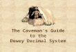 Dewey Decimal System Animated