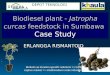 Biodiesel plant - Jatropha curcas feedstock in Sumbawa â€¨Case Study