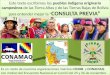 La "Consulta Previa" en Bolivia