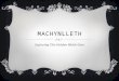 Machynlleth Ynyshir Hall