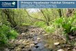 Primary Headwater Streams