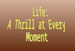 A Thrill at Every Moment - Krishna Temple Talk