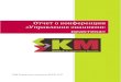 Отчет о конференции "Управление знаниями: практика" 2011