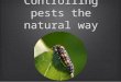 Natural Pest Control in the Organic Garden