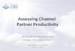 Assessing Channel Partner Productivity