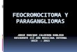 Feocromocitoma y paragangliomas