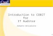 Introduction to COBIT