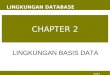 Chapter 2 lingkungan basis data