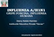 La gripe H1N1
