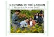 Growing in the Garden by Bettina Harden MBE