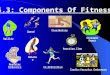 5.3  components of fitness