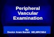 Peripheral  Vascular  Examination