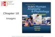 Chapter 18:  Nutrition and Metabolism Hole's Human Anatomy and Physiology