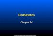 Ch. 54 - Endodontics
