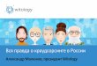 Crowdconsulting 2013 malioukov witology pdf
