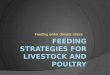 Feeding  strategies for livestock and poultry in relation with climatic stress