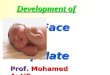 Development of the face, nose, palate