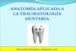 Traumatologia Dentaria (