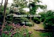 Anna M   Japanese Gardens