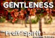 The Fruit of the Spirit is Gentleness