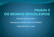 Os biomas brasileiros , plano de aula ppt
