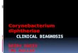Corynebacterium diphtheria clinical diagnosis