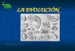 La evolución (teorías, pruebas y especiación).ppt