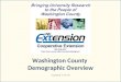 Washington county demographics 3-10