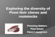 Exploring the diversity of Pinot Noir clones and rootstocks -