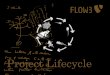 F3X12 FLOW3 Project Lifecycle