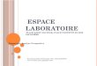 Espace laboratoire De la place Saint-Sauveur à la rue Caponière : diagnostic et prospective