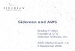 Siderean and AWS (AWS Startup Event LA 2008)