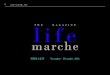 Life Marche Magazine Mediakit