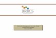 Brics PMS Performance Update  30 June 2010