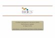 BRICS PMS Performance Update - 31 March 2011