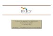 BRICS PMS Performance Update - 31 January 2011