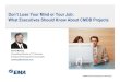 Don�t Lose Your Mind or Your Job: What Executives Should Know About CMDB Projects