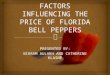 Factors influencing the price of florida bell peppers (for sharing)