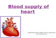 blood supply of heart