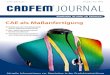 CADFEM Journal: CAE, Customization und Automatisierung