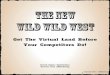 Wild West Land Grab, The Rules of SEO