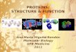 PROTEINS, STRUCTURE AND FUNCTION