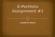 E portfolio assignment